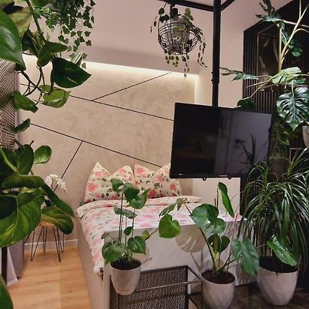 Magic House Apartament Proszowska 58 II Bochnia Eksteriør billede