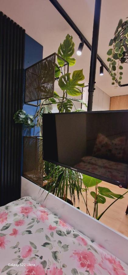 Magic House Apartament Proszowska 58 II Bochnia Eksteriør billede